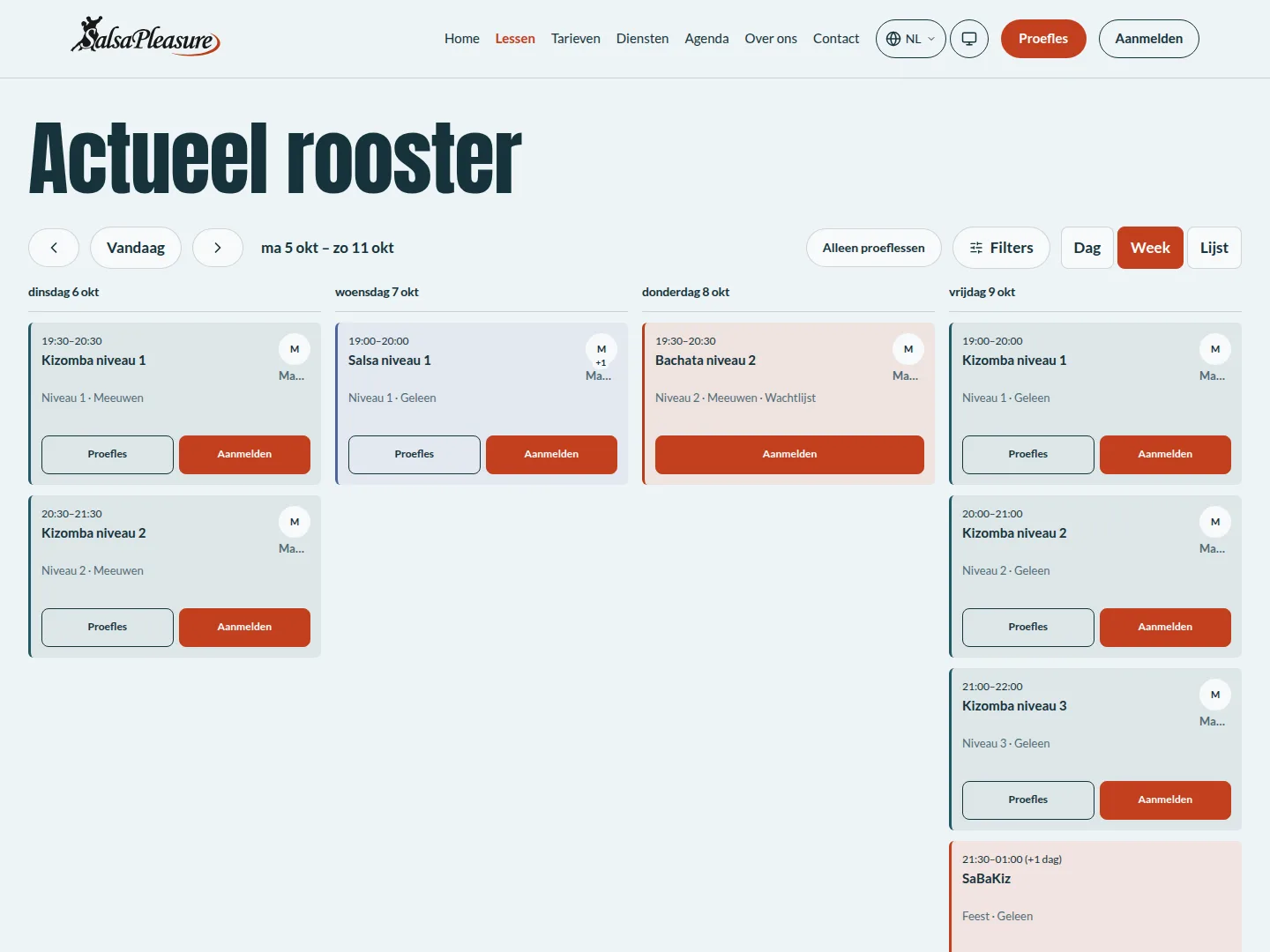 Website detail page: SalsaPleasure